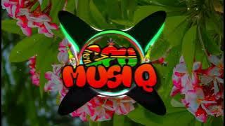 Ismuki - Feelings (Megatron Remix) 2024