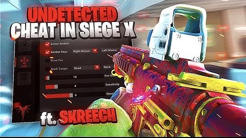I Used The Best Cheap R6 Cheats 🤑 | ft. Skreech.gg
