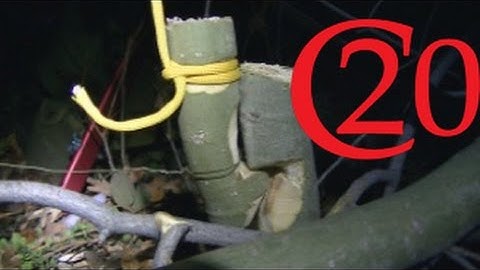 How to Make a Powered Snare Trap