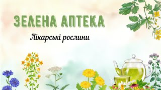 Зелена аптека✨Розповідь павучка про лікарські рослини