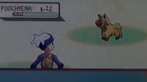 Live Uncatchable Shiny Poochyena After 2,802 SRs (Pokemon Ruby)
