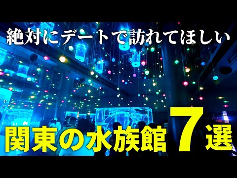 【2025年最新】デートにおすすめの関東の水族館7選【水族館マニアが厳選】