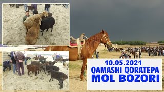 MOLLAR NARXI//MOL BOZOR ISHOQ MOLAR OTLAT QORATEPA BOZORI