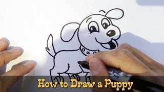 How to Draw a Puppy