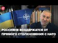 НАТО может ответить так, что авиации России не останется, - Фейгин