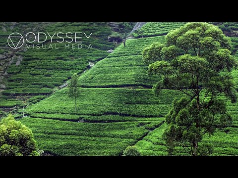 Sri Lanka: Travel Documentary | Explore Nature, History, Religion and Culture | Full Length