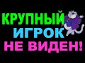 Крупный игрок не виден! ВСА в топку?