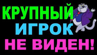 Крупный игрок не виден! ВСА в топку?