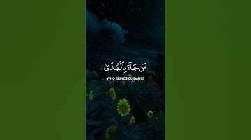 عبدالرحمان مسعد..سورة القصص..الایة ٨٥