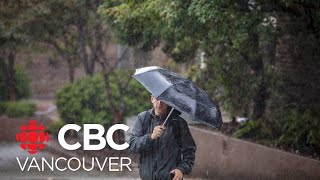 Heavy rainfall warnings in effect for B.C.'s Lower Mainland