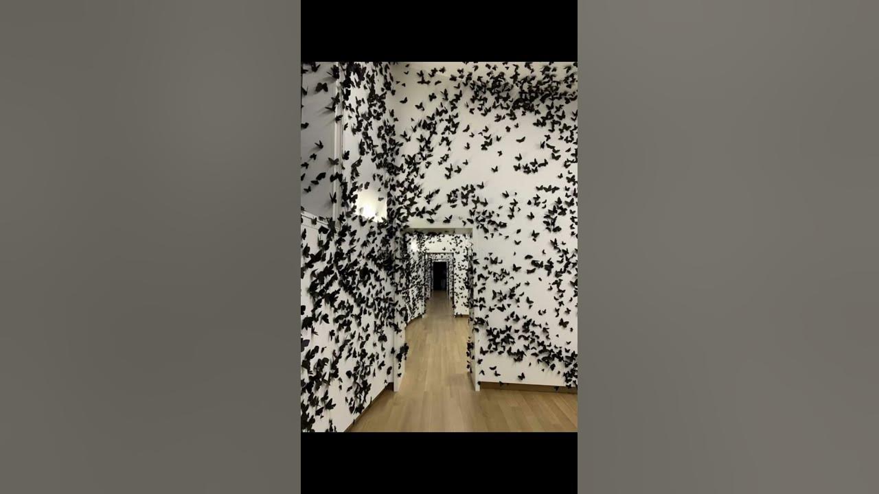 SCARED OF MOTHS? π©π¨π± #interestingfacts #interesting #scary #shorts SCARED OF MOTHS? π©π¨π± #interestingfacts #interesting #scary #shorts