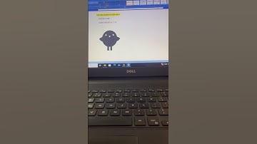 Bird symbol in ms word #reels #trending #shorts #viral #video #msword #mswordshortcuts #computer