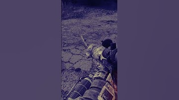 ☢ STALKER | BUNCH OF PSEUDODOGS | ANOMALY | СТАЛКЕР