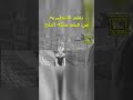 تعلم الإنجليزية بطريقة التلقين السمعي من فيلم ملكة الثلج mp3