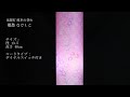 盆提灯 郷愁なでしこ / Japanese Obon lantern