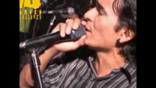 ENAMORADO - papillon