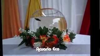 PECERA PARA CENTRO DE MESA CON PECES ORNAMENTALES