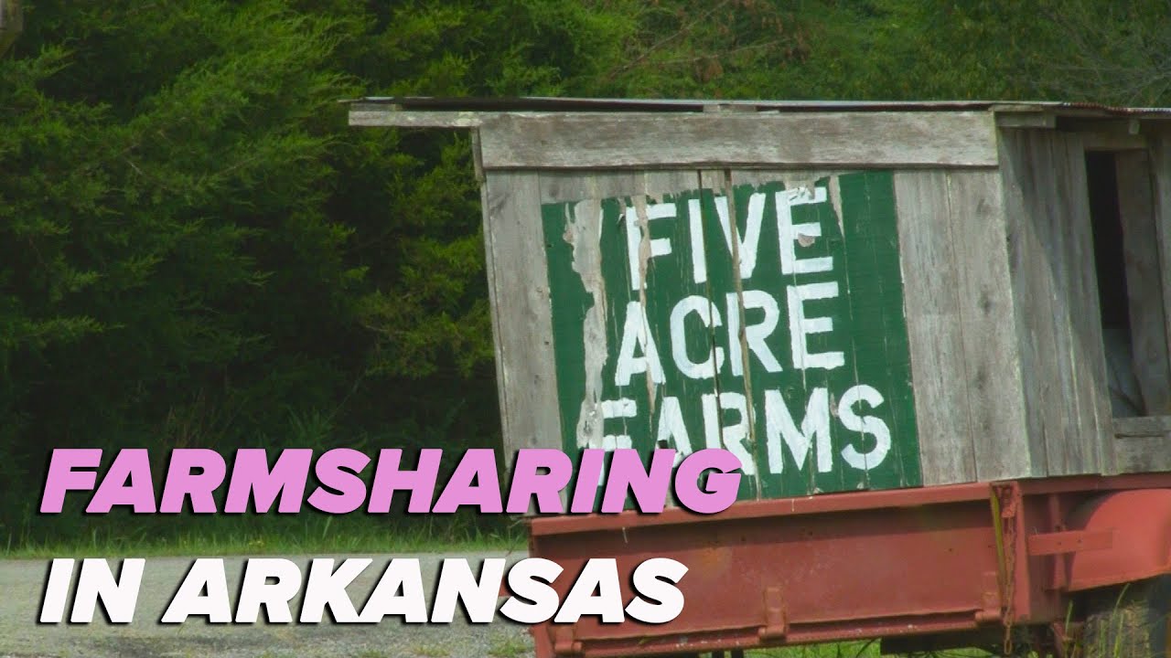 Arkansas farmsharing delivers fresh, local produce