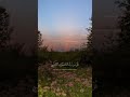 قران الكريم 🤍 #قران #المصحف #قران_كريم #الرحمن #اللهم_صل_وسلم_على_نبينا_محمد #ﷺ