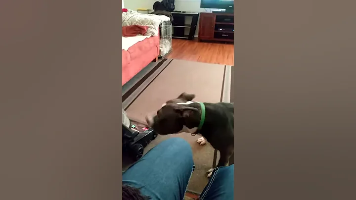 He's very protective
