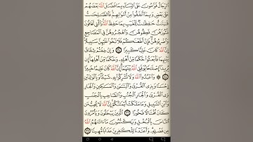 ماهر المعيقلي سورة النساء مكتوبة صفحة 84 مصحف المدينة المنورة جودة عالية