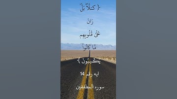 ايه رقم 14من سوره المطففين.. بصوت الشيخ ابوبكر الشطرى