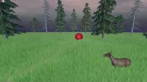 Small scene with DirectX11 Grass