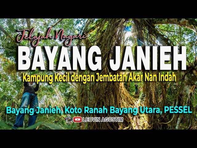 Emma Watson porno video Neylondagi yalangoch ayollarning fotosuratlari