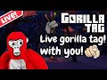 🎄 Live gorillatag!🔴