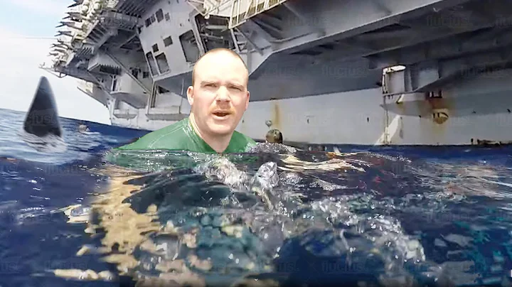 What Happen When Sharks Swim Too Close to US Aircraft Carrier and Ships - DayDayNews
