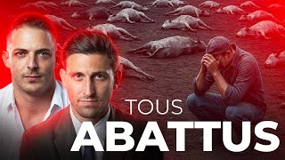 Gado e o Comitê Nacional Democrata: o abate sistemático é realmente justificado? | David Guyon