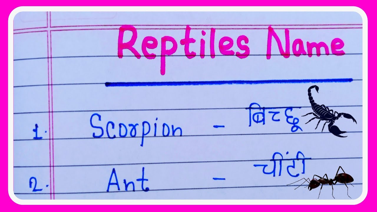 5 Reptiles Name /Reptiles Name Hindi and English - YouTube
