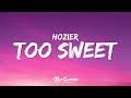 Hozier - Too Sweet (Lyrics) "you