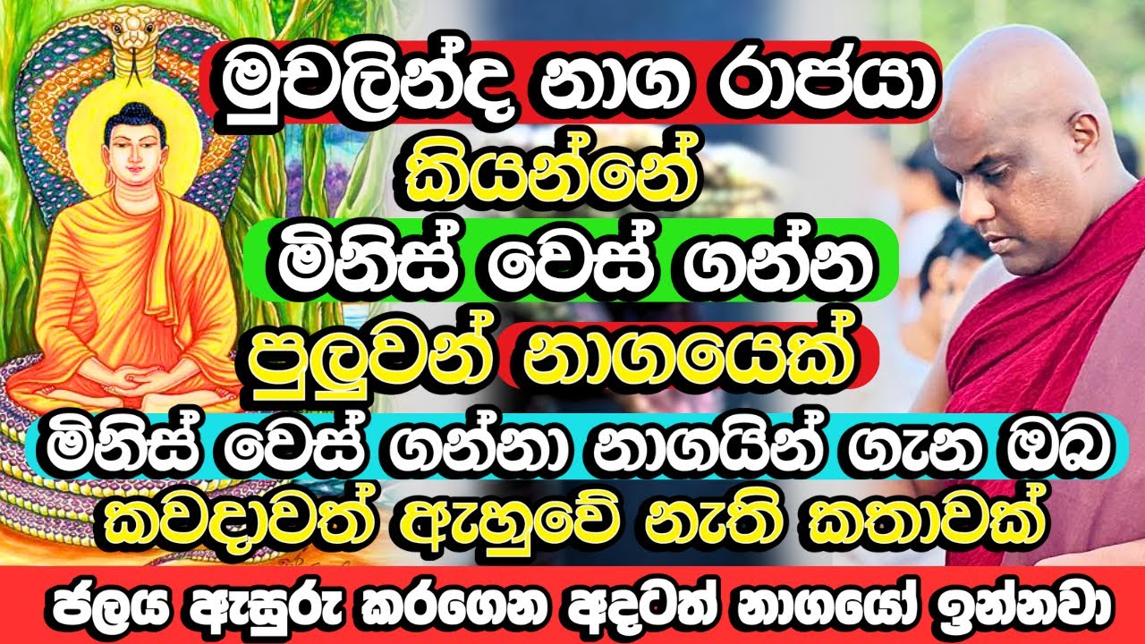 මිනිස් වෙස් ගන්න පුලුවන් නාගයින් අදටත් ජලය ඇසුරු කරගෙන ඉන්නවා | Galigamuwe Gnanadeepa Thero | Bana