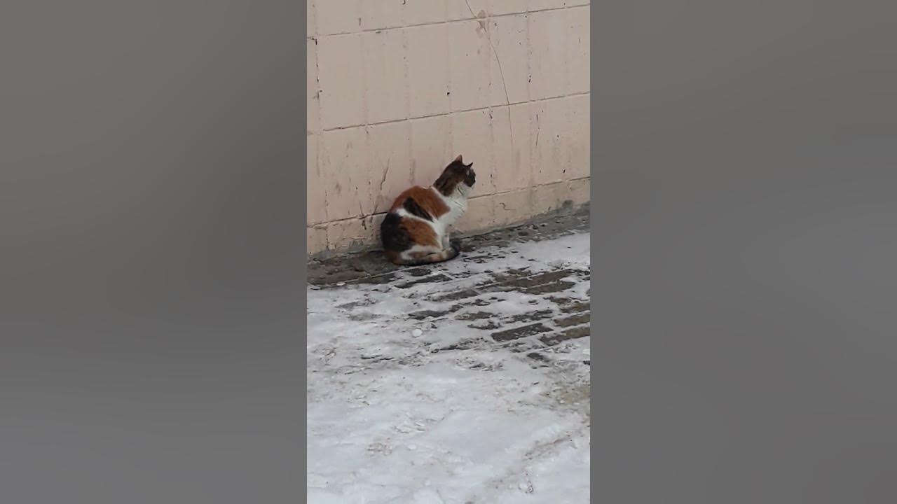У подьезда - YouTube
