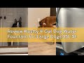 Review Kastty 4 Gal Dog Water Fountain for Large Dogs,15L Stainless Steel Dog Water Bowl Dispenser T