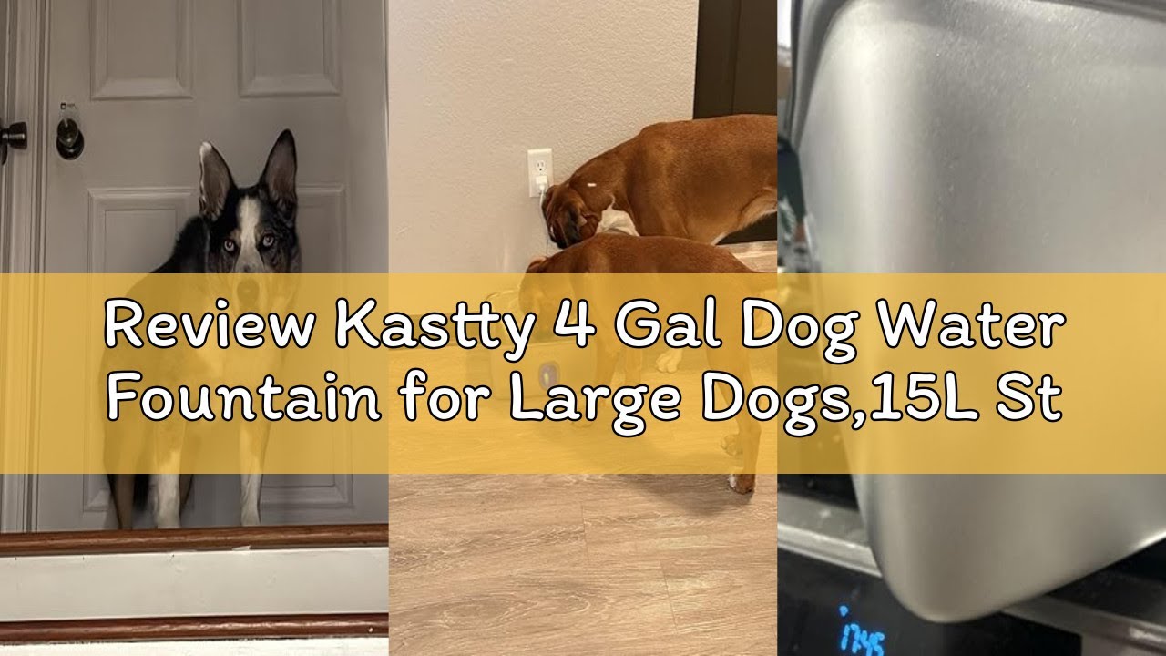 Review Kastty 4 Gal Dog Water Fountain for Large Dogs,15L Stainless Steel Dog Water Bowl Dispenser T