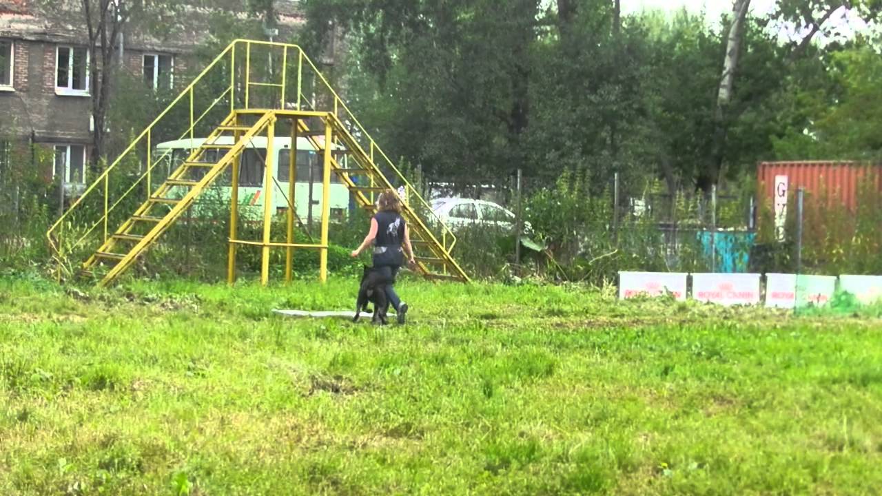 Лав энд спирит боруссия Лав энд спирит боруссия