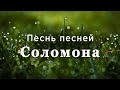 Песнь песней Соломона | Ветхий завет | Библия