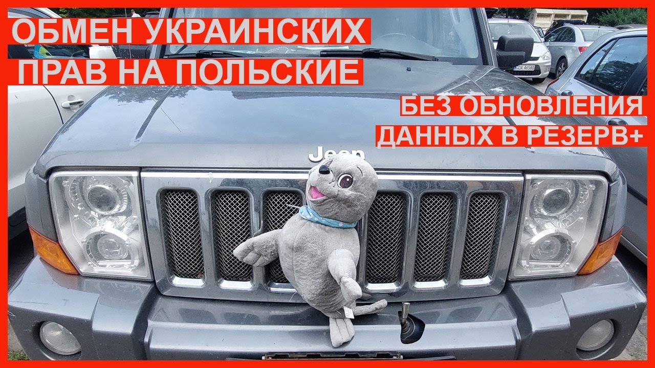 Как обменять украинские права на польские без обновления данных в Резерв+ в 2024 году
