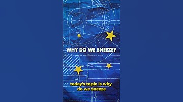 Why Do We Sneeze?