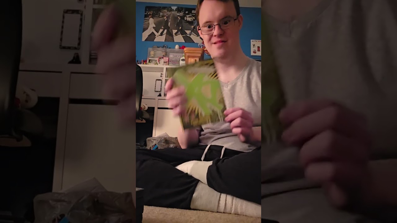 My of  wwe DVD collection  paul free.