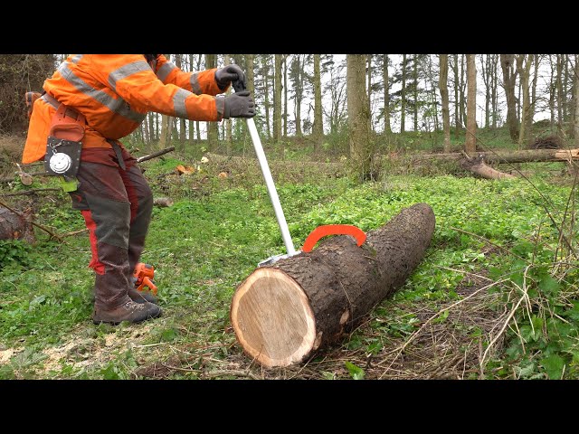 2-in-1 Cant Hook and Sawhorse: Forest Master FMLJ Log Jack