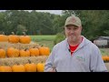 Despite drought, other challenges, NC farms prepare for pumpkin season