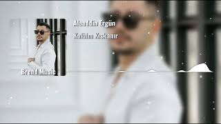 Alaaddin Ergün - Kalbim Kıskanır Remix (2024) Resimi