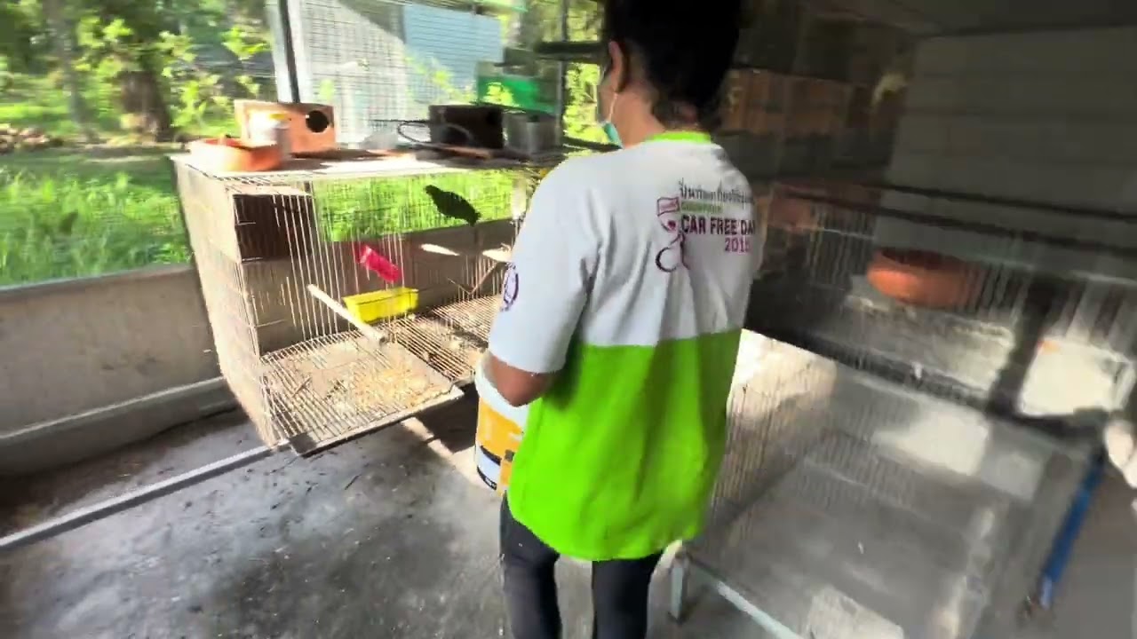 มาเลี้ยงนกแก้วกันเถอะ