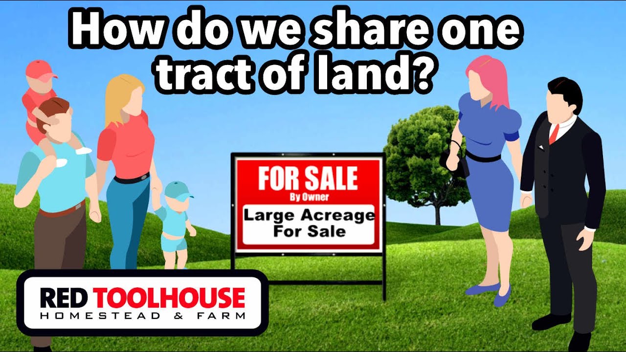 How do I buy land to homestead with family and friends? - YouTube