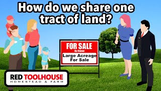 Celebrity How do I buy land to homestead with family and friends? Wealth