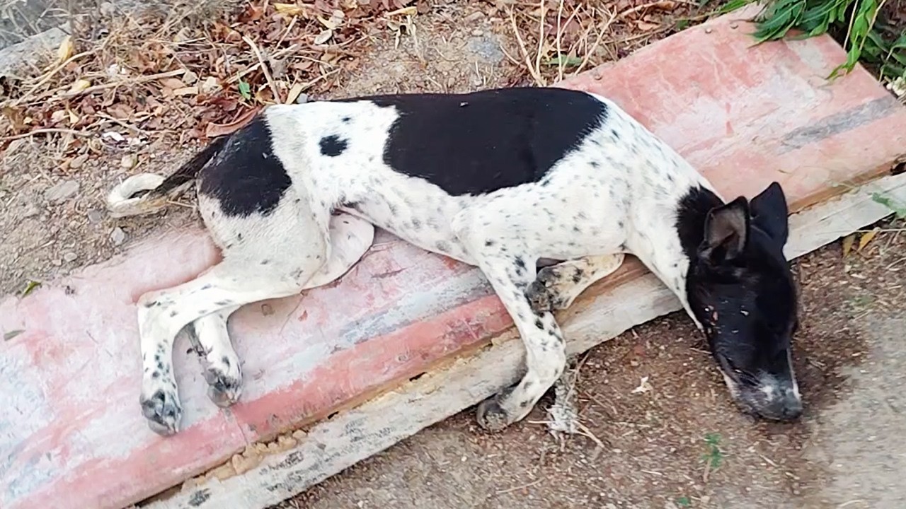 June was left hanging onto life…