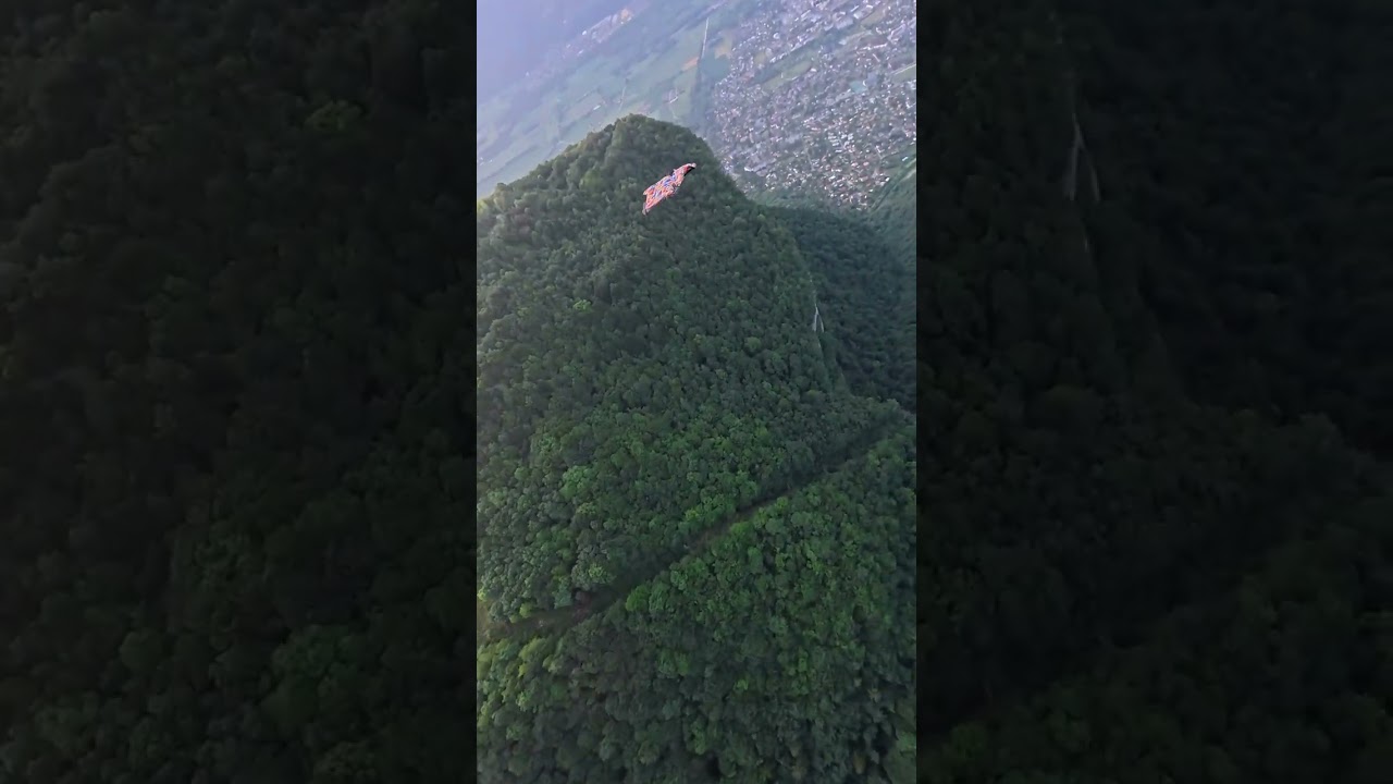 We live in a beautiful world